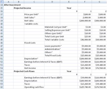 Professional Capital Budgeting Spreadsheet