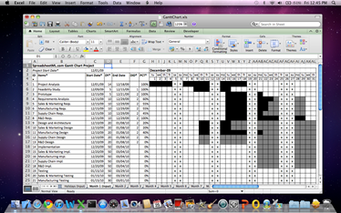 Professional Gantt Chart